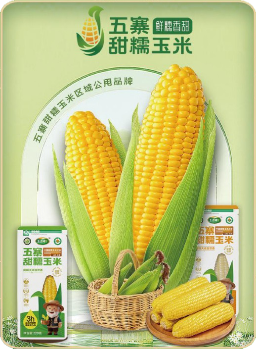 晋西北高原米粮川 天赋地载孕金穗