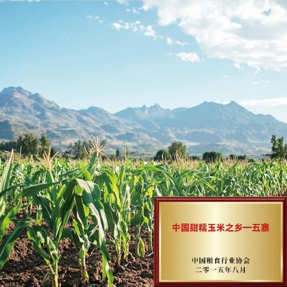中国甜糯玉米之乡