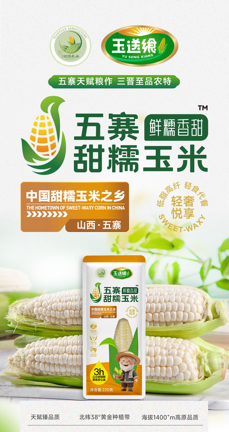 白糯玉米_01.jpg