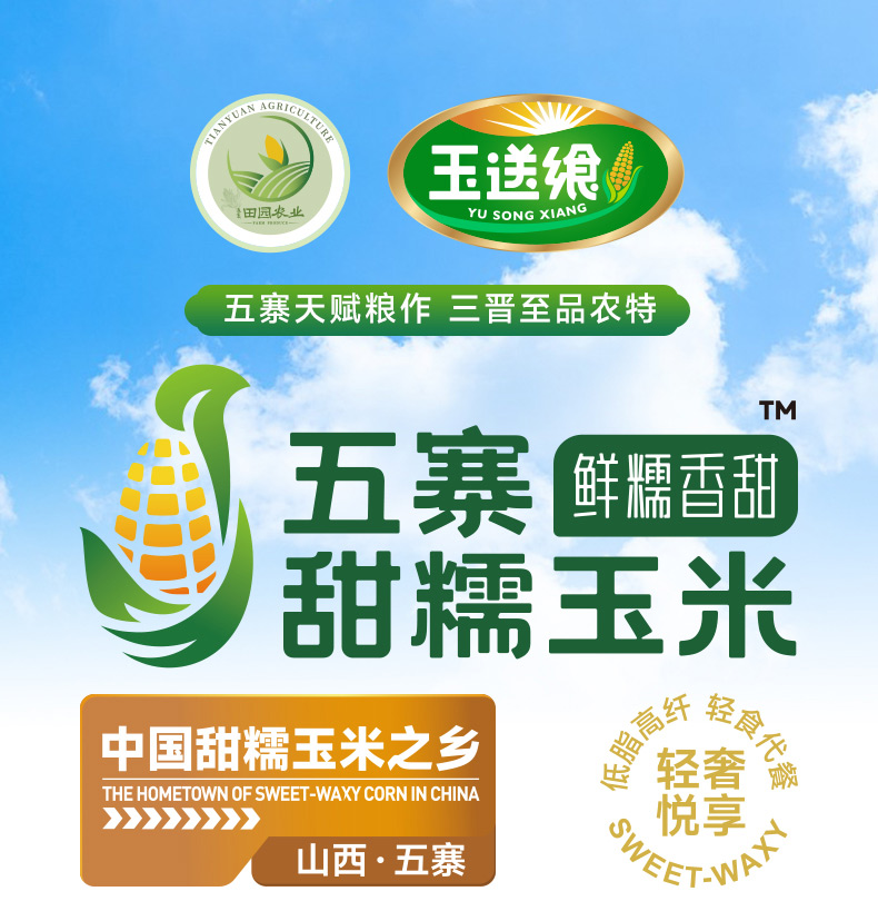黄糯玉米_01.jpg