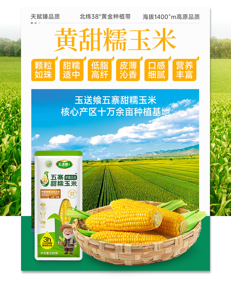 黄糯玉米_02.jpg